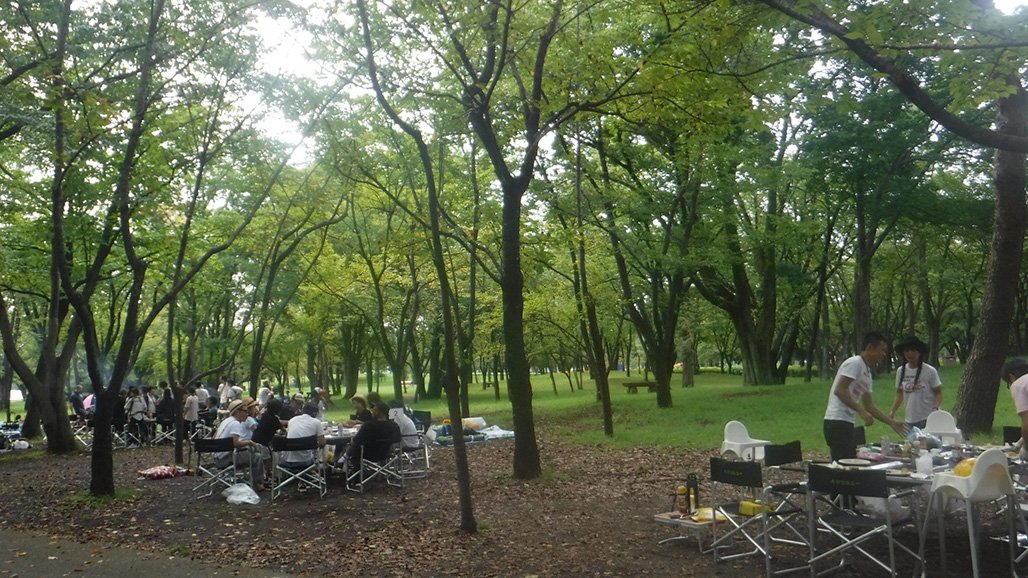 🌳 사이타마 현립 사이노모리 이루마 공원 이미지 5